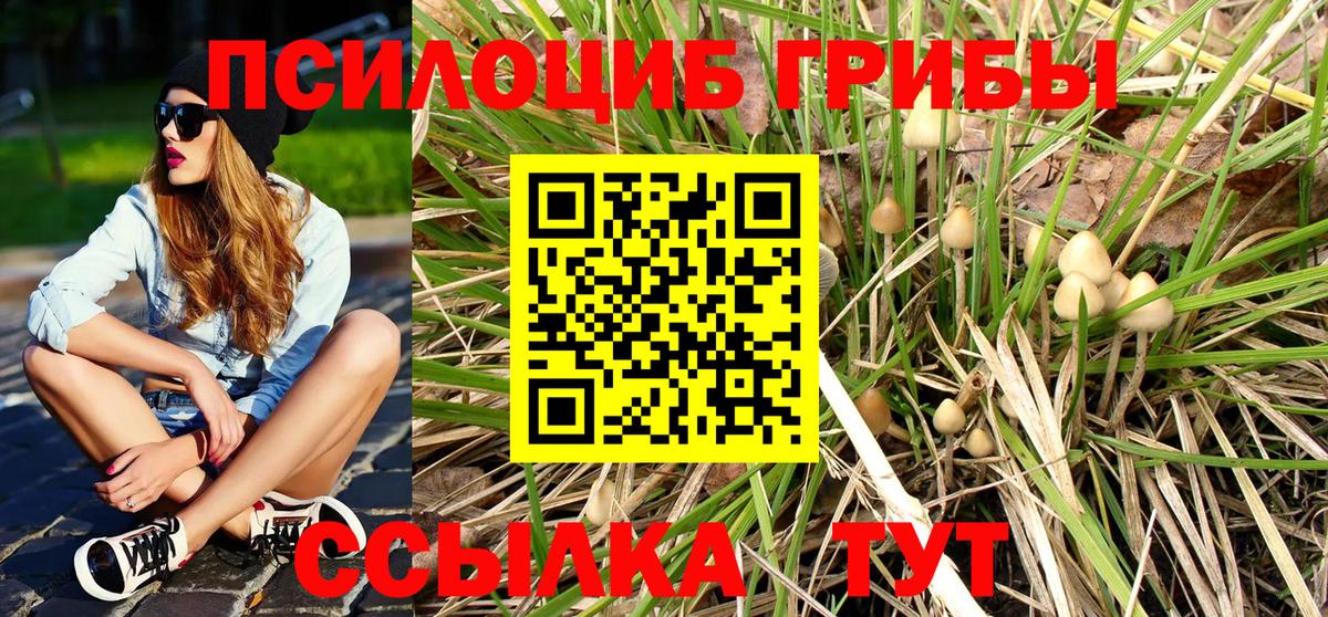 Псилоцибиновые грибы прущие грибы  Вход с VPN  Железноводск  Галлюциногенные грибы Magic Shrooms 